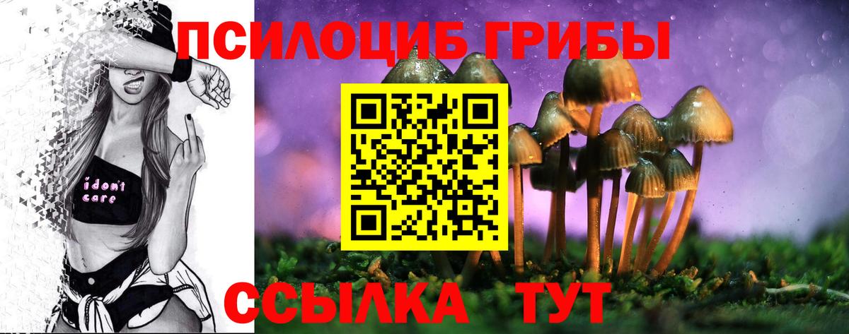 Псилоцибиновые грибы GOLDEN TEACHER  магазин продажи   Михайловск  Вход с VPN 